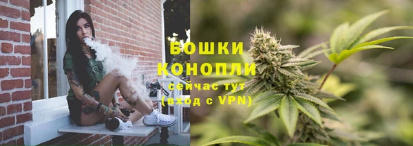apvp Билибино