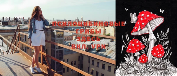 спайс Нея