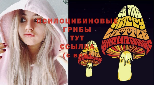 спайс Нея