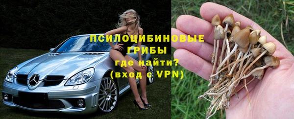 амф Нефтекумск